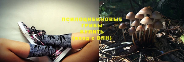 первитин Абинск