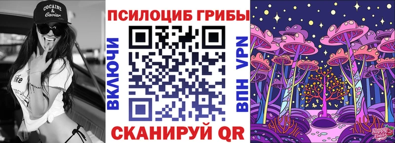 дарнет шоп  Зерноград  блэк спрут зеркало  дарк нет клад  Галлюциногенные грибы ЛСД 