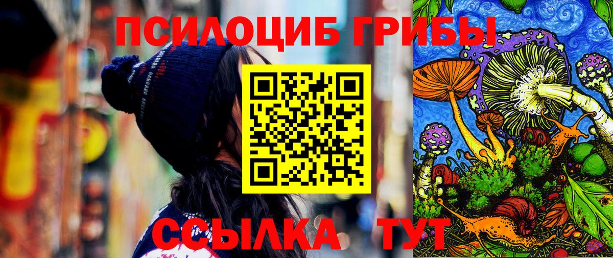 Галлюциногенные грибы GOLDEN TEACHER  Вход с VPN  Зерноград  Псилоцибиновые грибы Magic Shrooms 